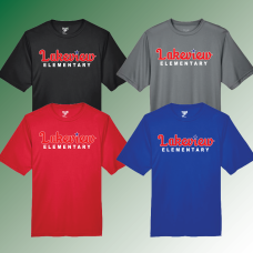 Lakeview Tech Tee